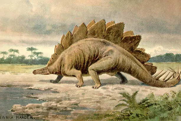 Stegosauro (immagine da wikimedia @HeinrichHarder)
