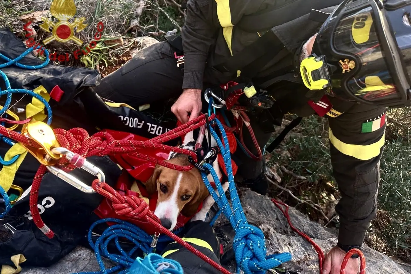 Il salvataggio del cane a Masua