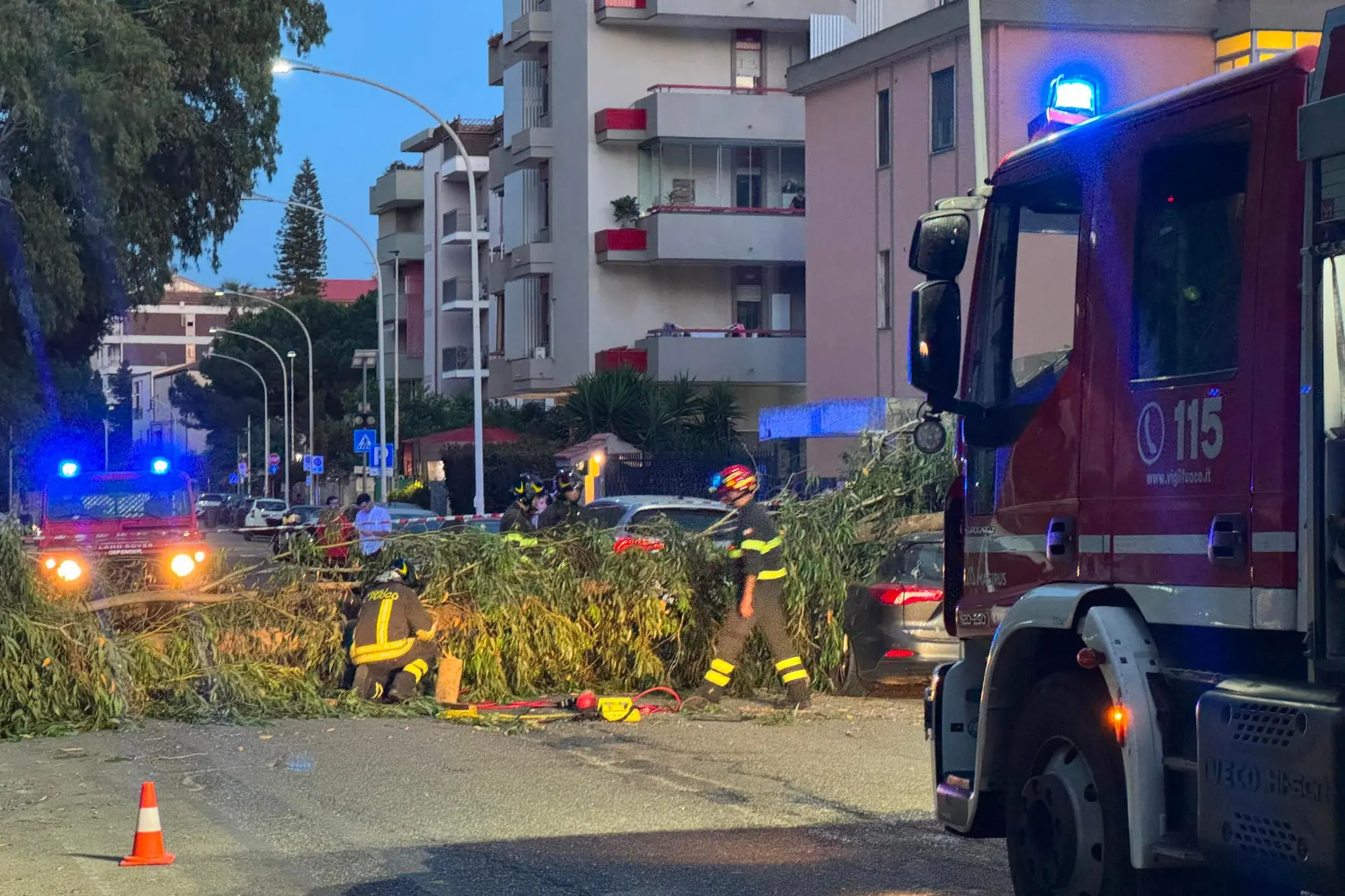 L'albero crollato a Cagliari (foto di Davide Leone)
