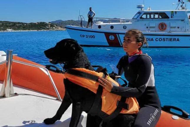 Villasimius, la Guardia costiera in esercitazione con i cani da salvataggio