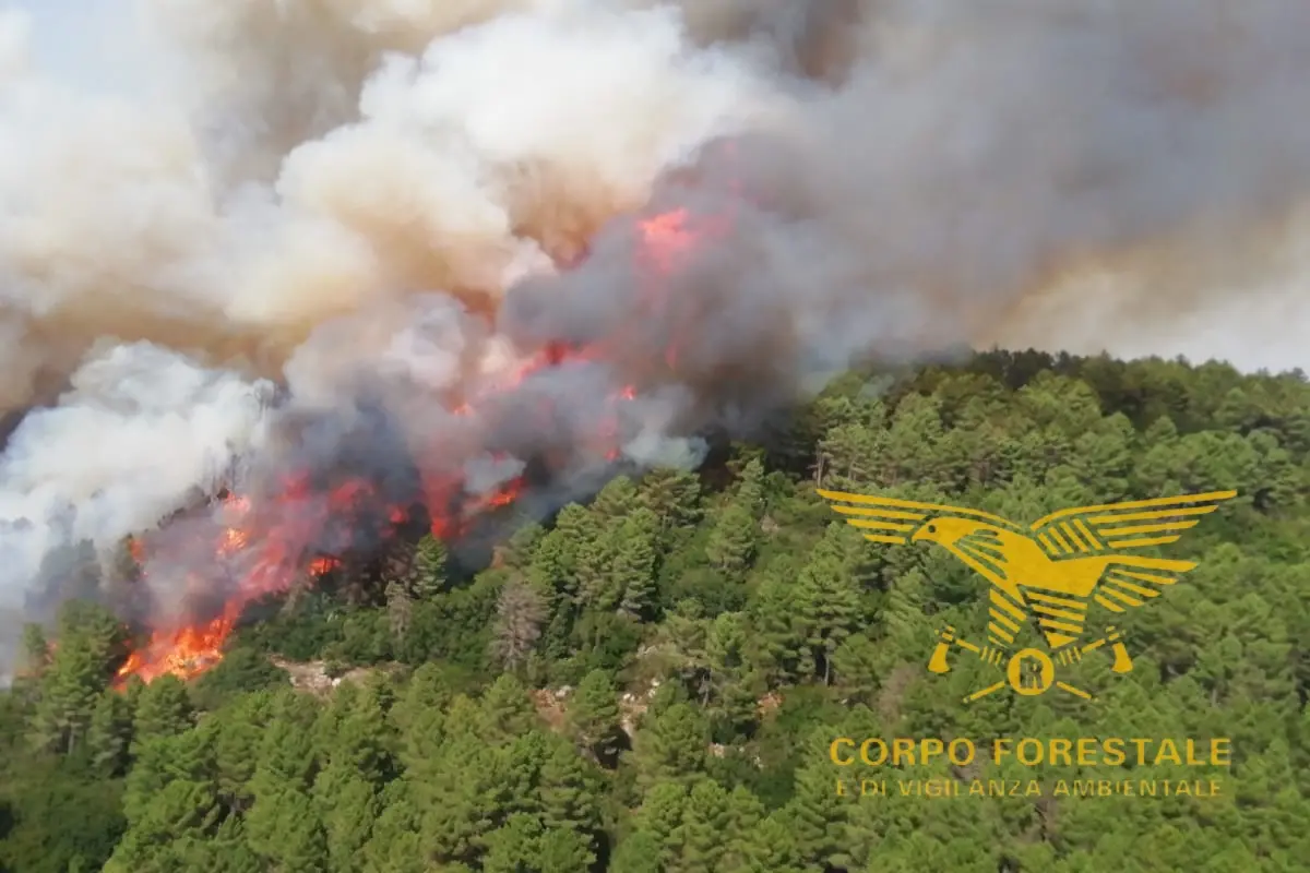 L'incendio sulla Nuoro-Lanusei (foto Corpo forestale)