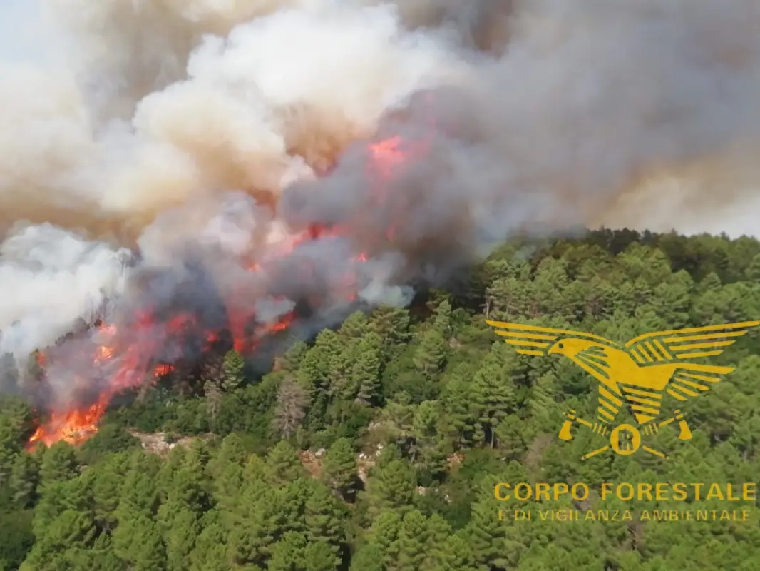 L'incendio sulla Nuoro-Lanusei (foto Corpo forestale)