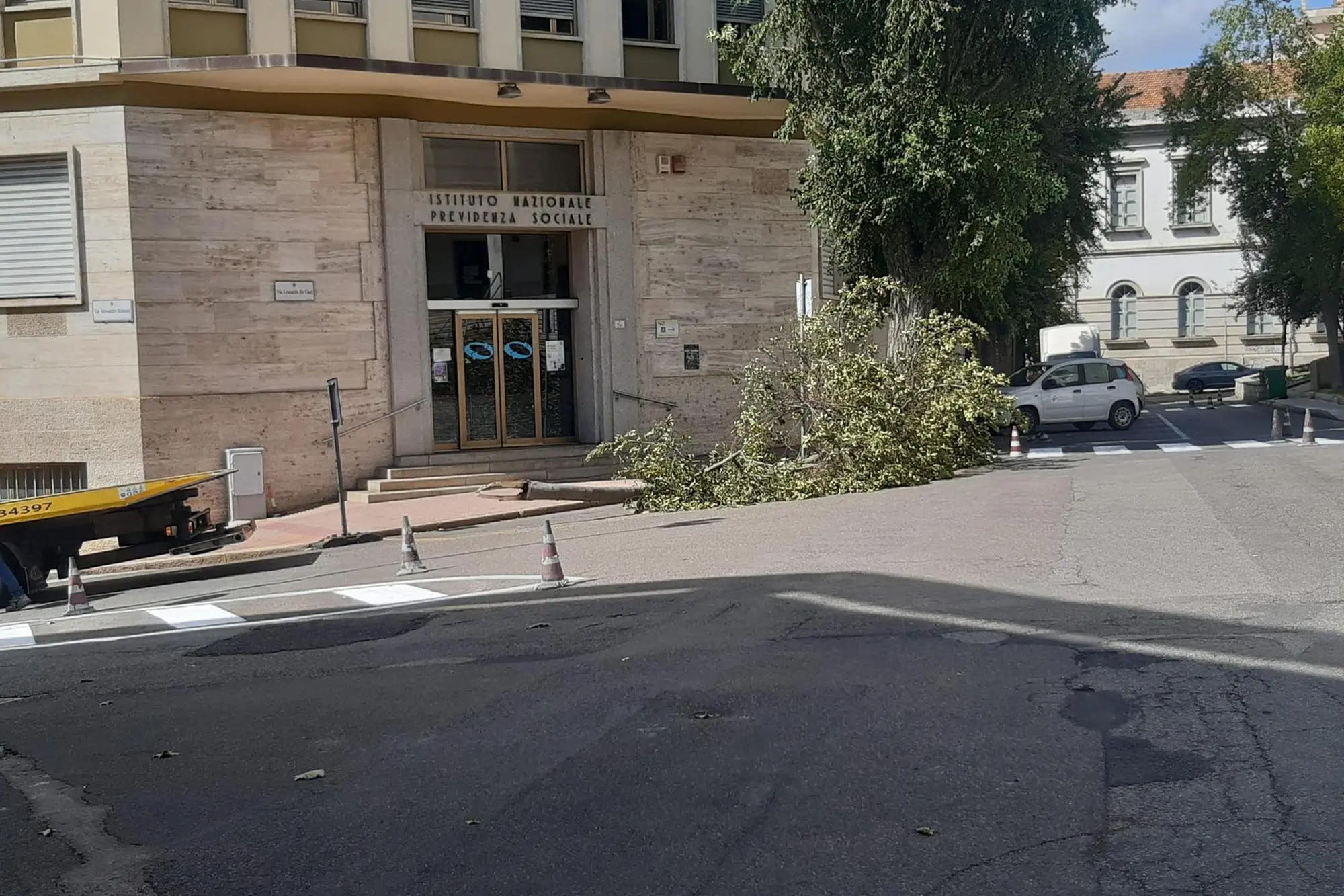 Il ramo spezzato a Nuoro (Fabio Ledda)