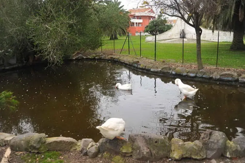Il laghetto di Sa Rodia sarà rimesso a nuovo (foto Valeria Pinna)