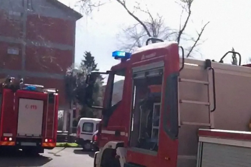 Un intervento dei vigili del fuoco sugli alberi di piazza Perosi (foto Tellini)