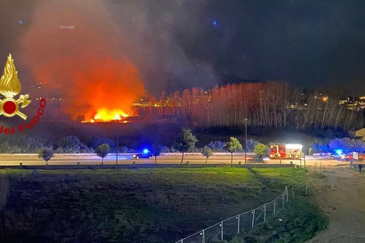 Il vasto incendio divampato a Olbia nel canneto (foto vigili del fuoco)