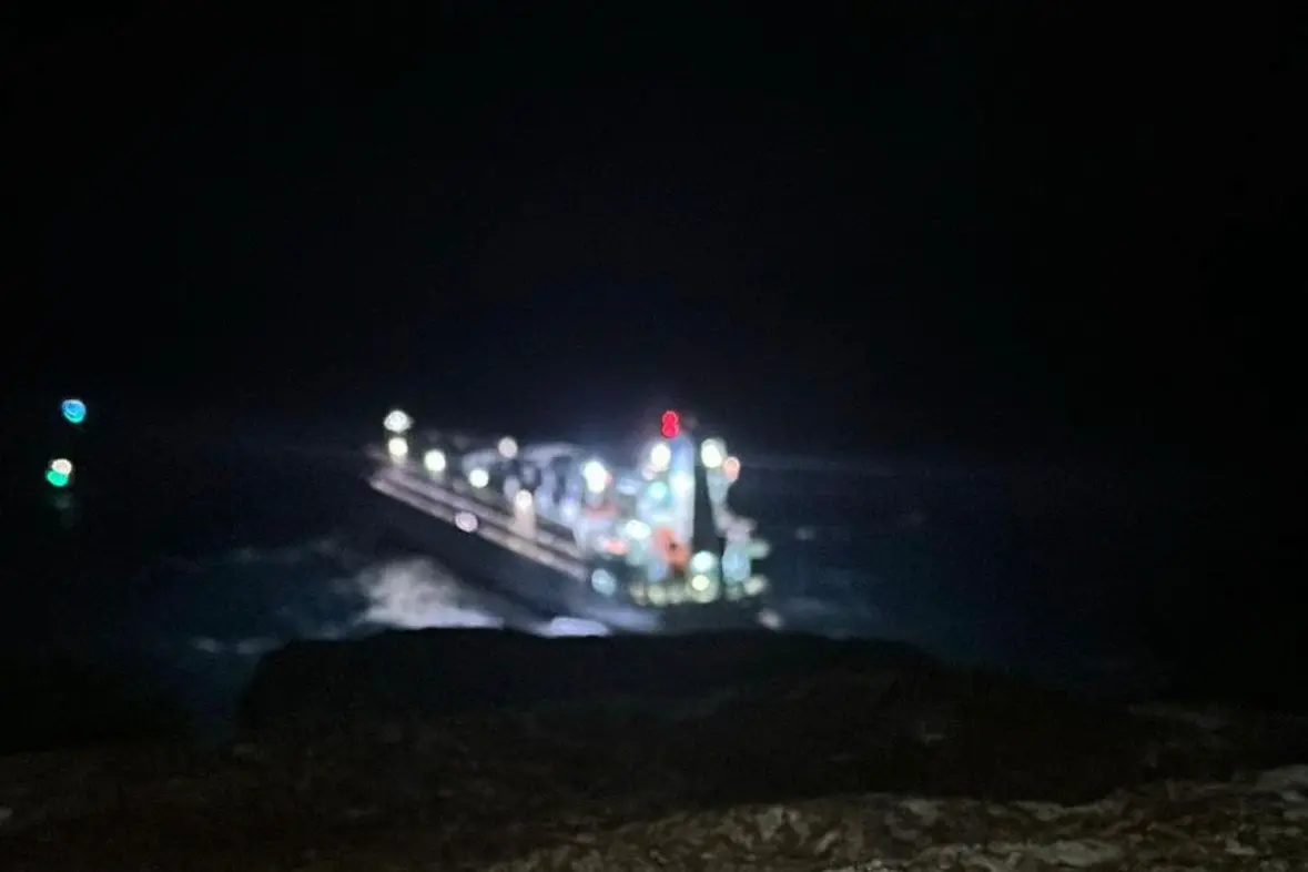 La nave cargo (L'Unione Sarda)