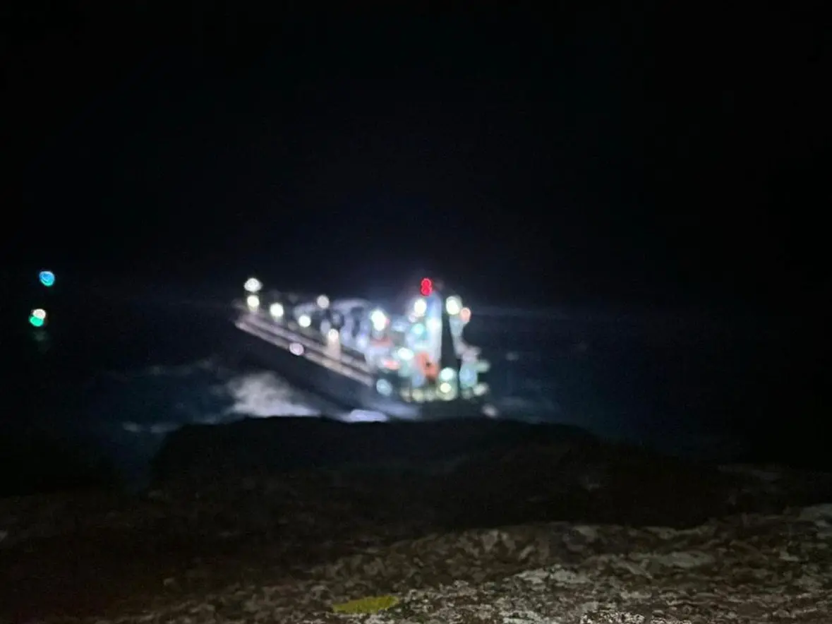 La nave cargo (L'Unione Sarda)