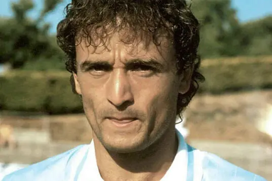 Vincenzo D'Amico (Ansa)