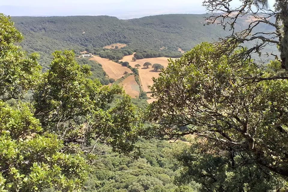 Monte Seneghe