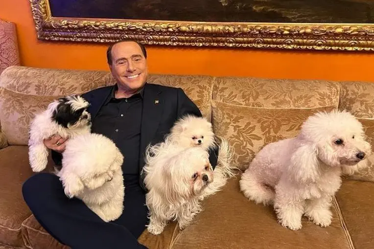 La foto postata da Berlusconi