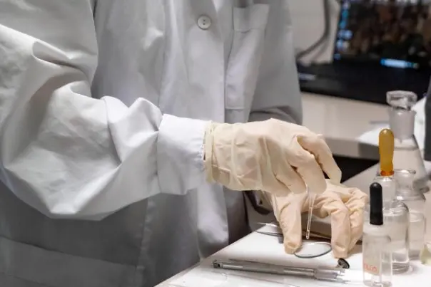 Massima attenzione per il contagi da Hantavirus (Ansa)