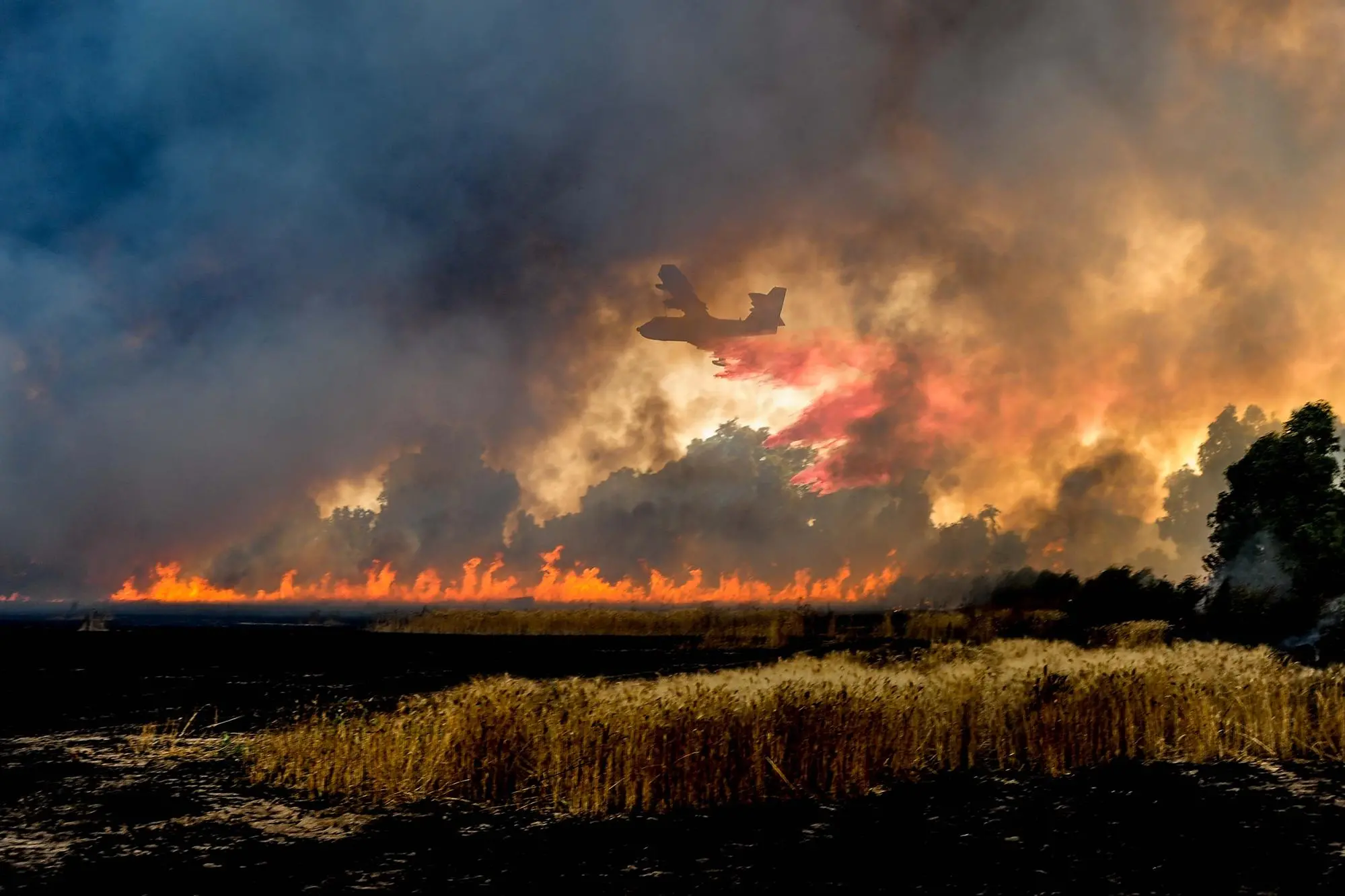 L'intervento di un Canadair