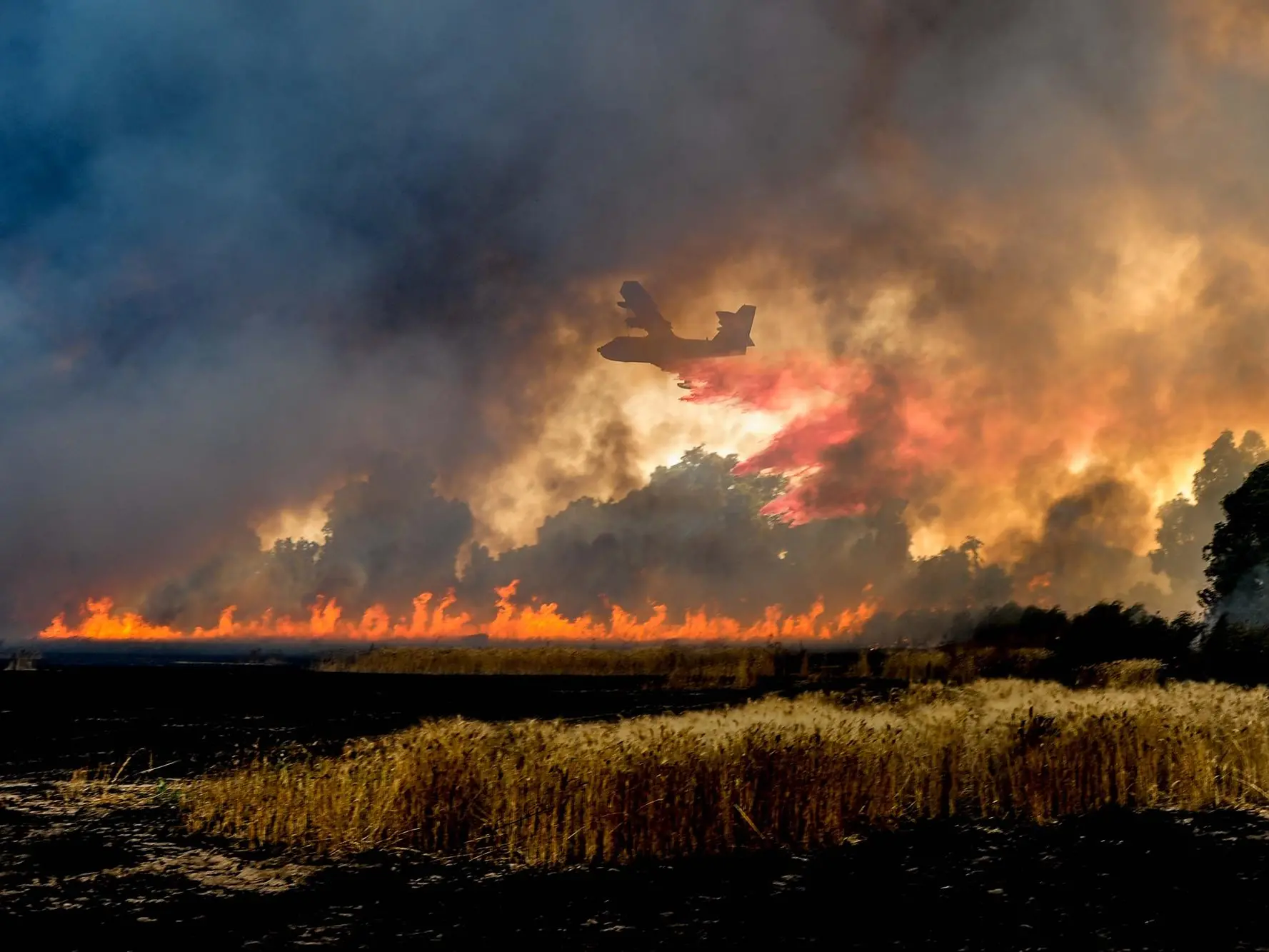 L'intervento di un Canadair