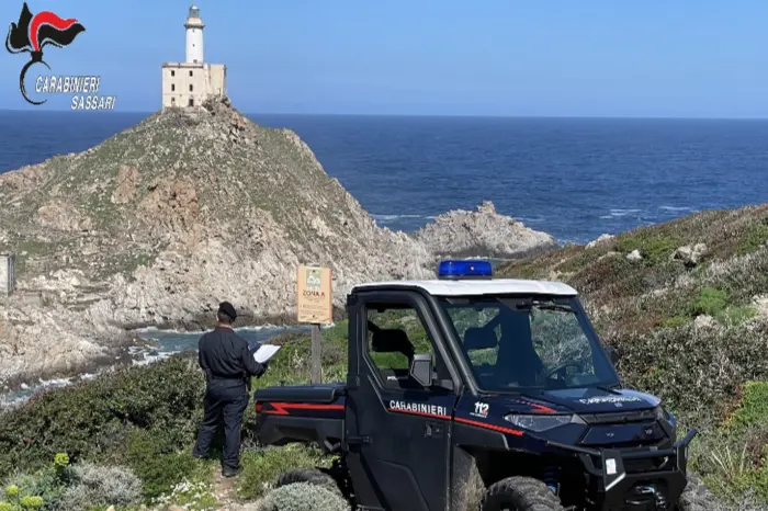 L'operazione dei carabinieri della stazione dell'Asinara(foto carabinieri)