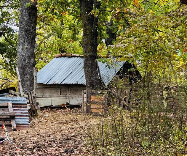 La famiglia nel bosco rientra nel casolare in attesa dei bambini