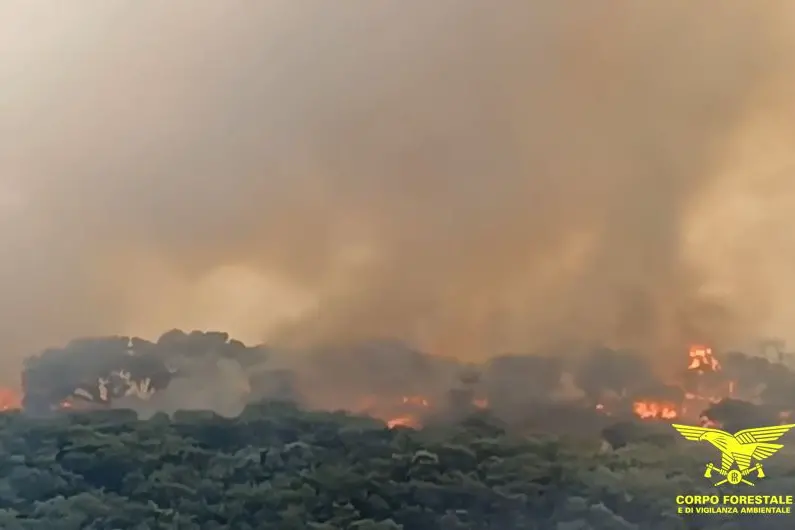 Le fiamme distruggono i boschi nelle campagne di Ales (foto Corpo forestale)