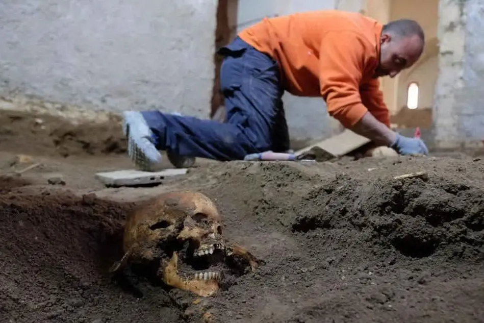 Alcune ossa ritrovate (foto L'Unione Sarda - Piras)