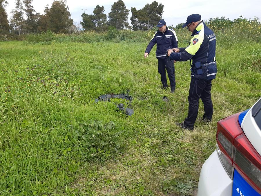 Oristano, butta un’anfora di oltre 2mila anni fa fra i rifiuti: denunciato