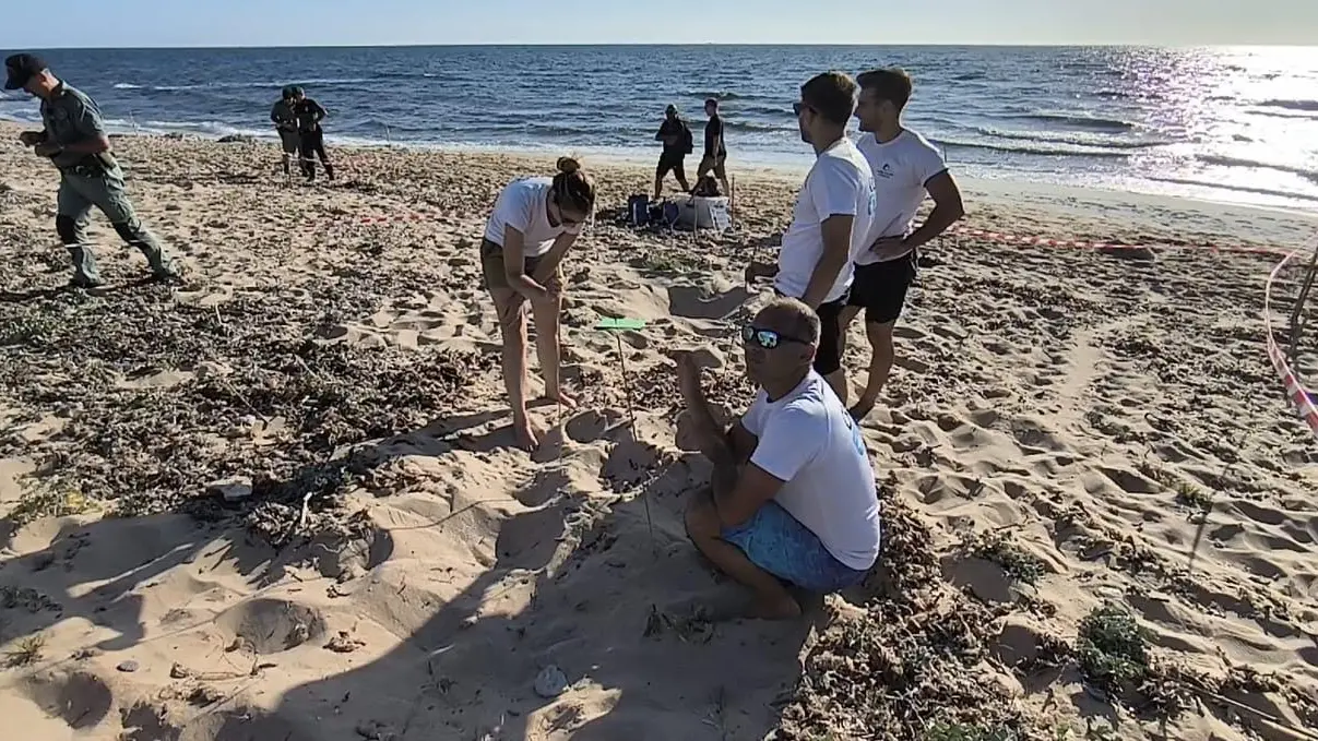 https://immagini.unionesarda.it/version/c:MDI3NDdjNWUtMjhhMy00:MTAyOGJlODktZWRmZC00/image.webp?f=16:9