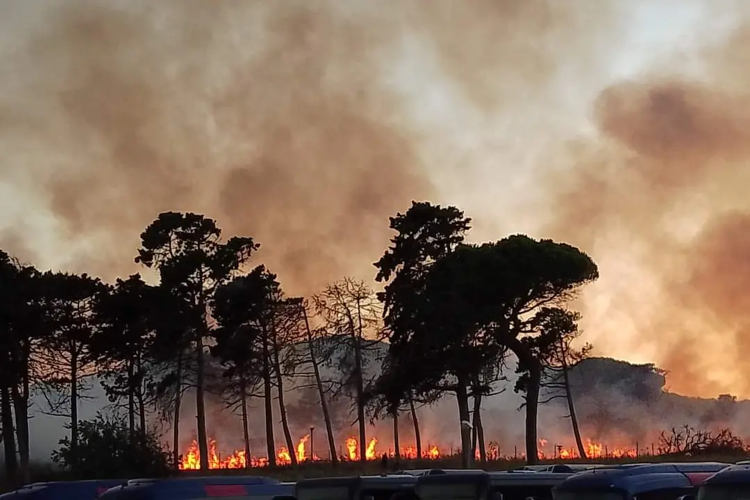 La Pineta Albano in fiamme (foto Oggianu)