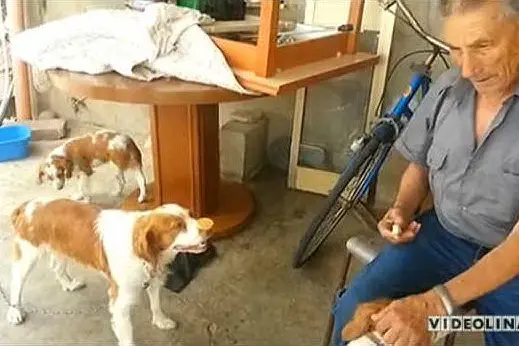 Un fermo del video