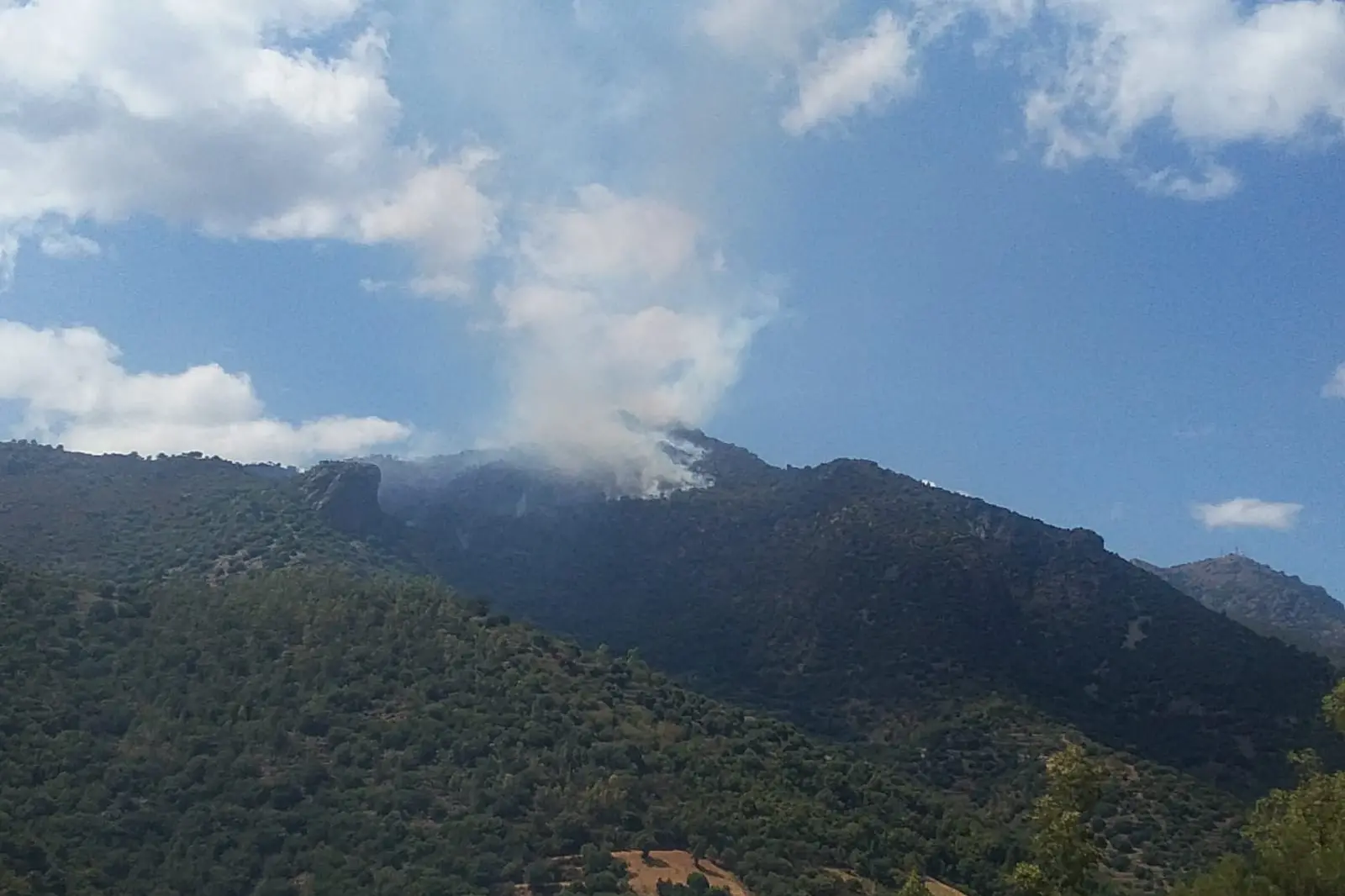 La foresta di Monte Ninnara attraversata dal fuoco (foto concessa)