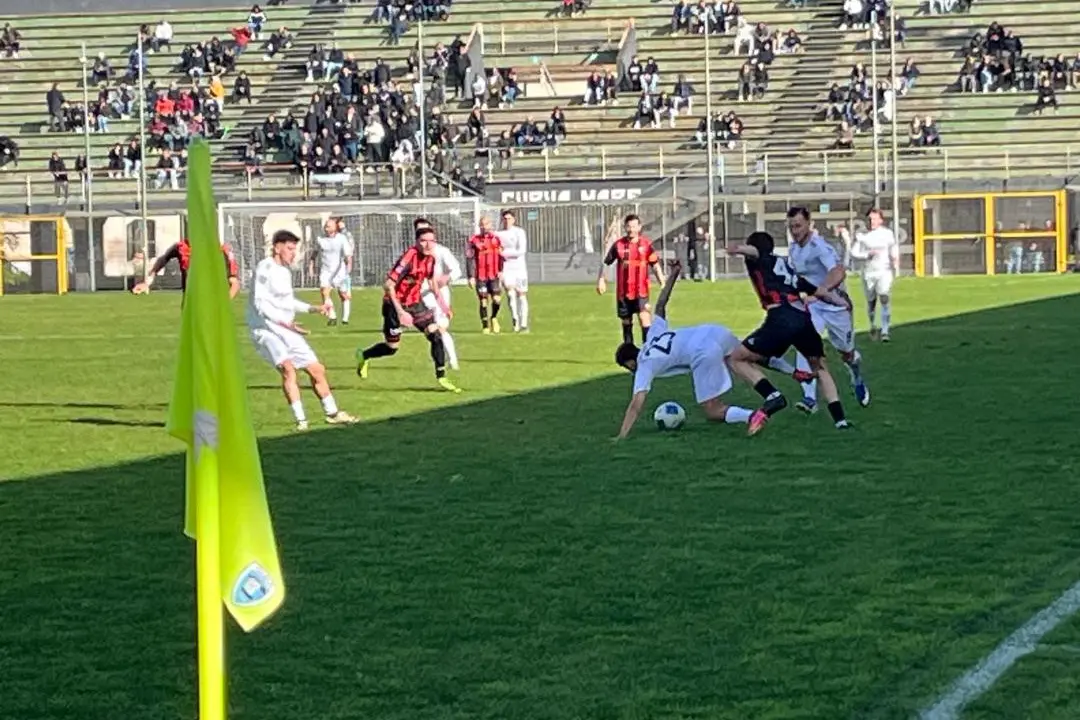 Dettaglio da una partita casalinga dell'Olbia (foto Ilenia Giagnoni)