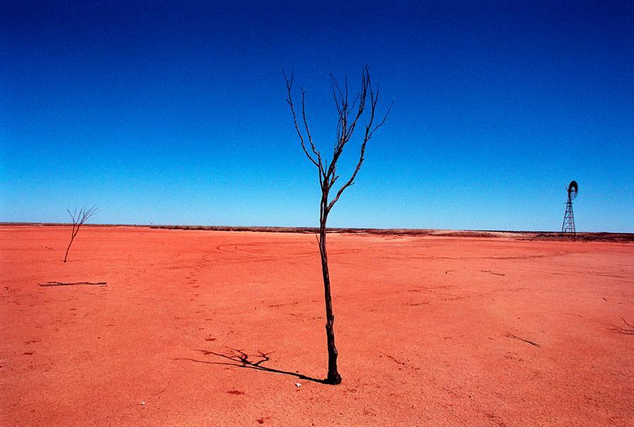 Un'immagine simbolo di siccità (foto archivio L'Unione Sarda)