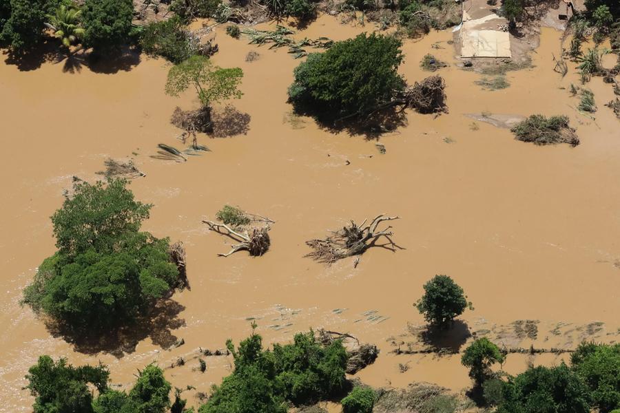 Piogge torrenziali e alluvioni: decine di morti e migliaia di sfollati in Brasile