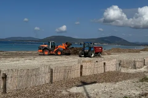 Il litorale di Alghero