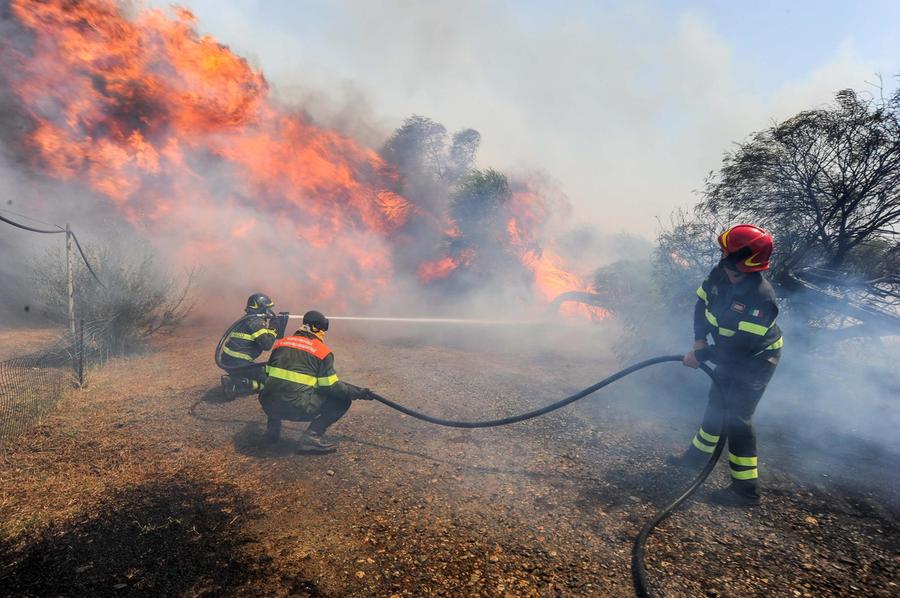 Mezzogiorno di fuoco, la Sardegna brucia nel pomeriggio: i dati della Forestale
