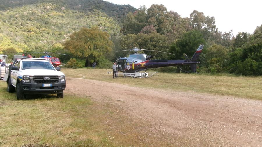 Sugherete minacciate dai lepidotteri, elicotteri in volo sui boschi tra Burcei e Sinnai