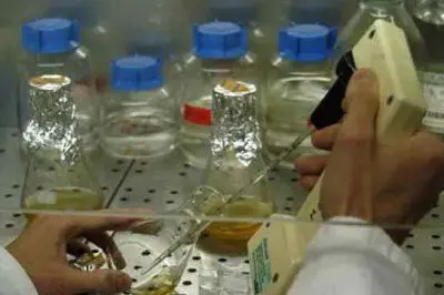 Analisi in laboratorio