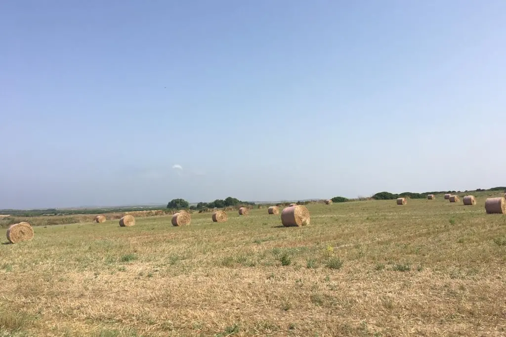 Il Sinis (Foto Pinna)