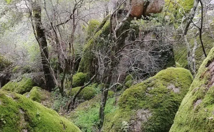 Il luogo del ritrovamento del corpo (foto Google Maps)