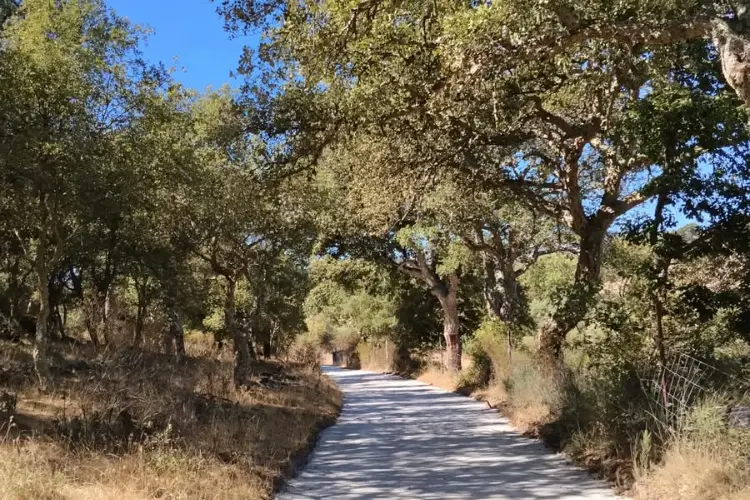 Strade vicinali a Villanova Monteleone (foto concessa)