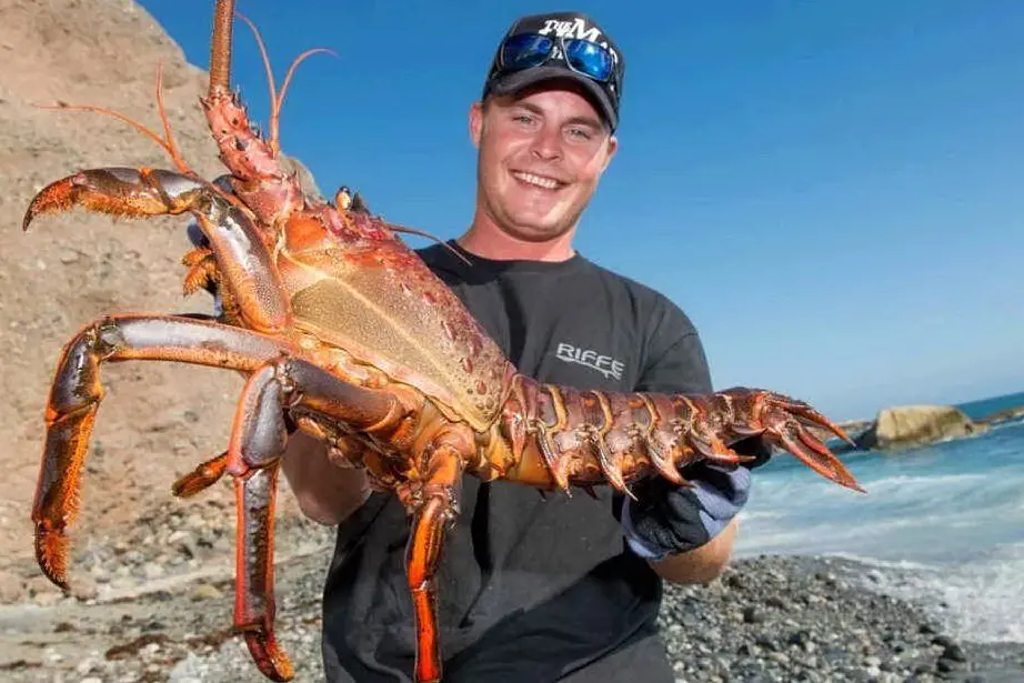 Brendan e l'aragosta gigante