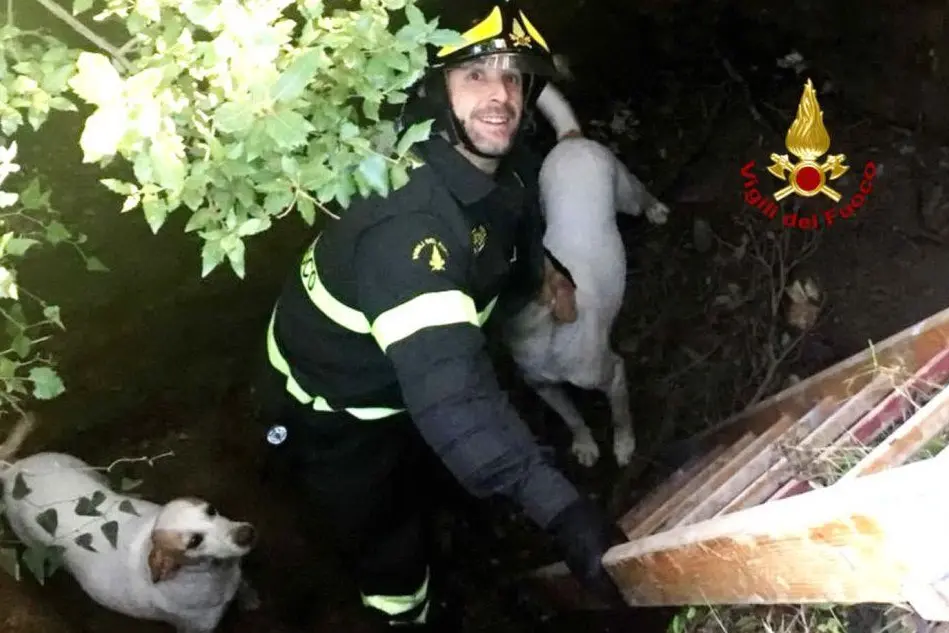 Il soccorritore e i due cani (foto Vigili del fuoco di Iglesias)