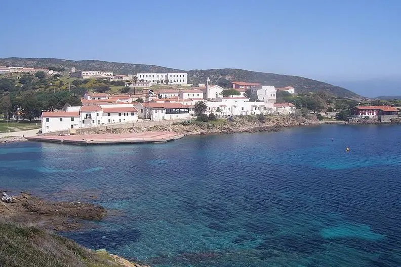 Cala d'Oliva, Asinara (foto L'Unione Sarda - Pala)