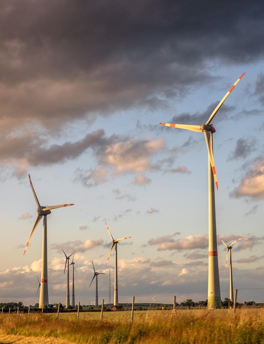 Eolico, non ci sono regole: «Il Governo batta un colpo»