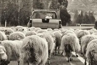 La foto vincitrice dal titolo "La processione"
