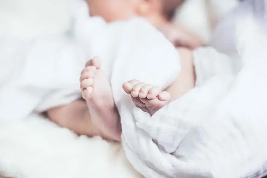 Un neonato (foto Pixabay)