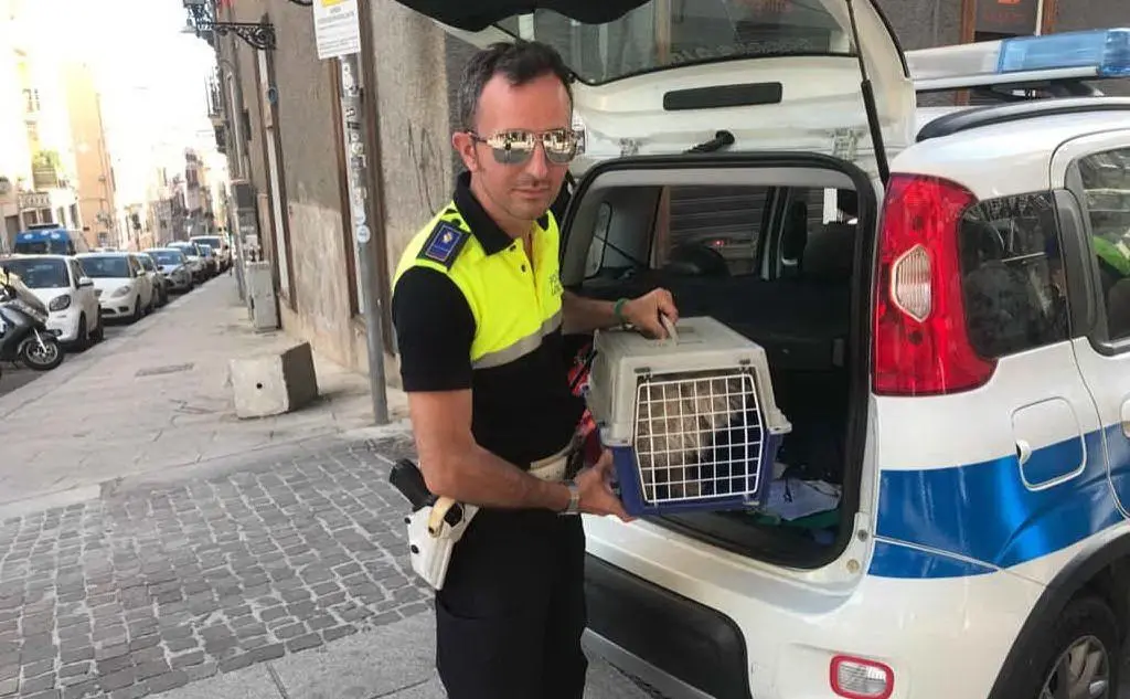 Un agente con la cagnolina (foto Polizia municipale)
