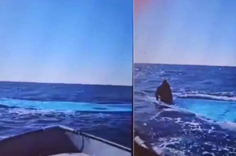 Tragico naufragio al largo della Libia, Sea Watch: «Morti 116 migranti, un solo sopravvissuto»