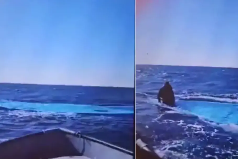 Un frame dalla pagina di Alarm Phone (foto via Ansa)