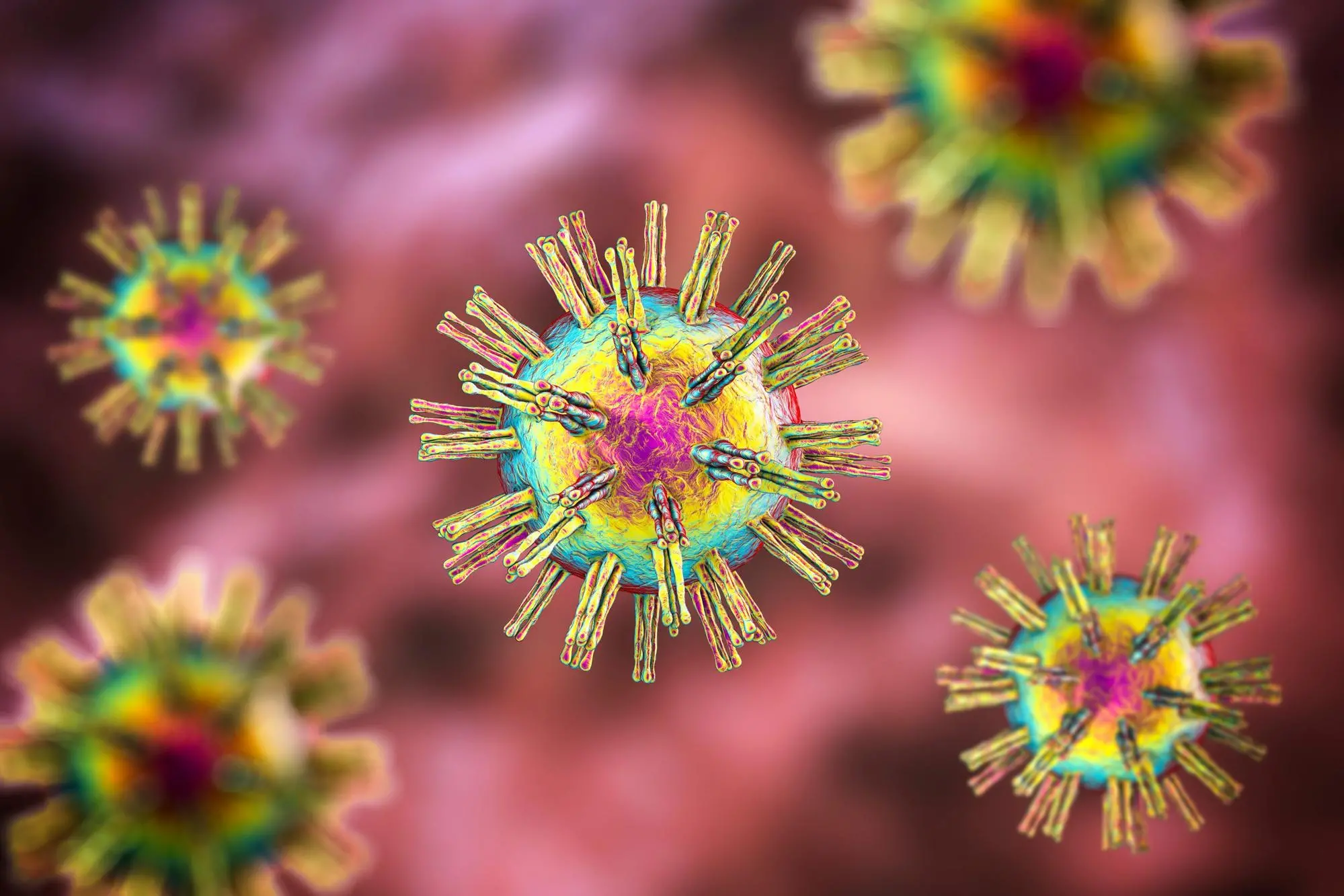 Virus dell’herpes, il pericolo aumenta durante i mesi estivi (foto da google)