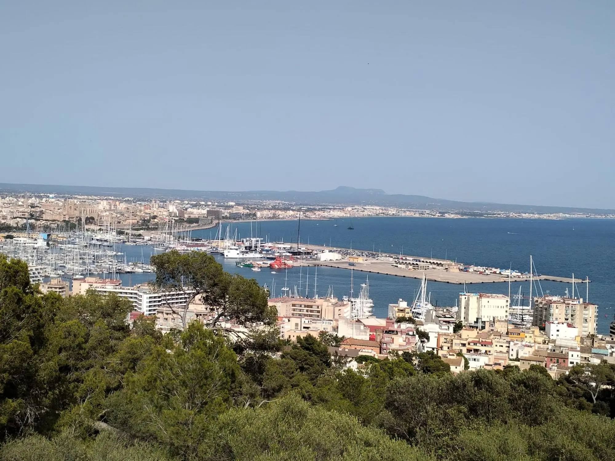 La vista sul porto di Palma (foto m.r.)