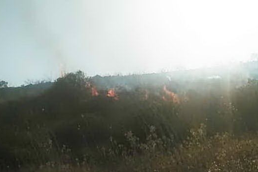 L'incendio nelle campagne di Gonnosnò (foto A. Pintori)