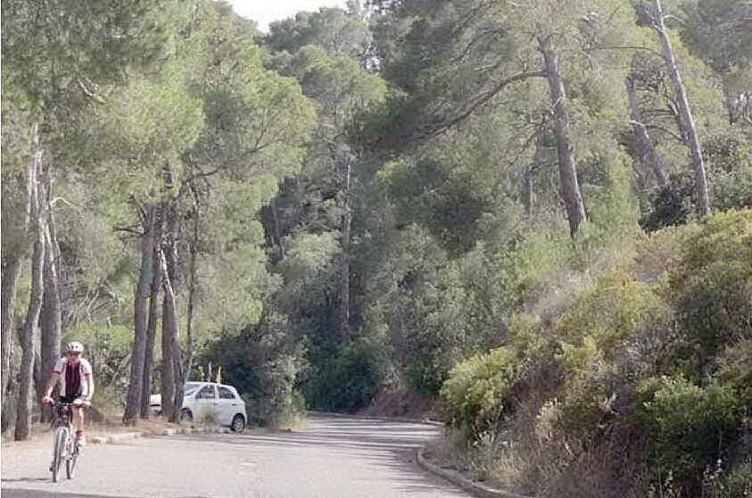 Sinnai, una mattinata passeggiando in pineta